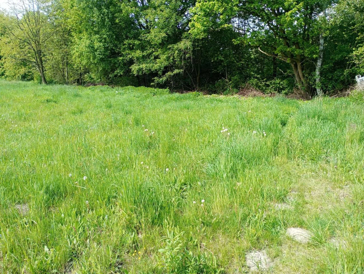 Działka budowlana Stanowice, ul. Strażacka. Zdjęcie 5