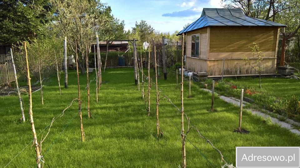 Działka rod Kielce Świętokrzyskie. Zdjęcie 4