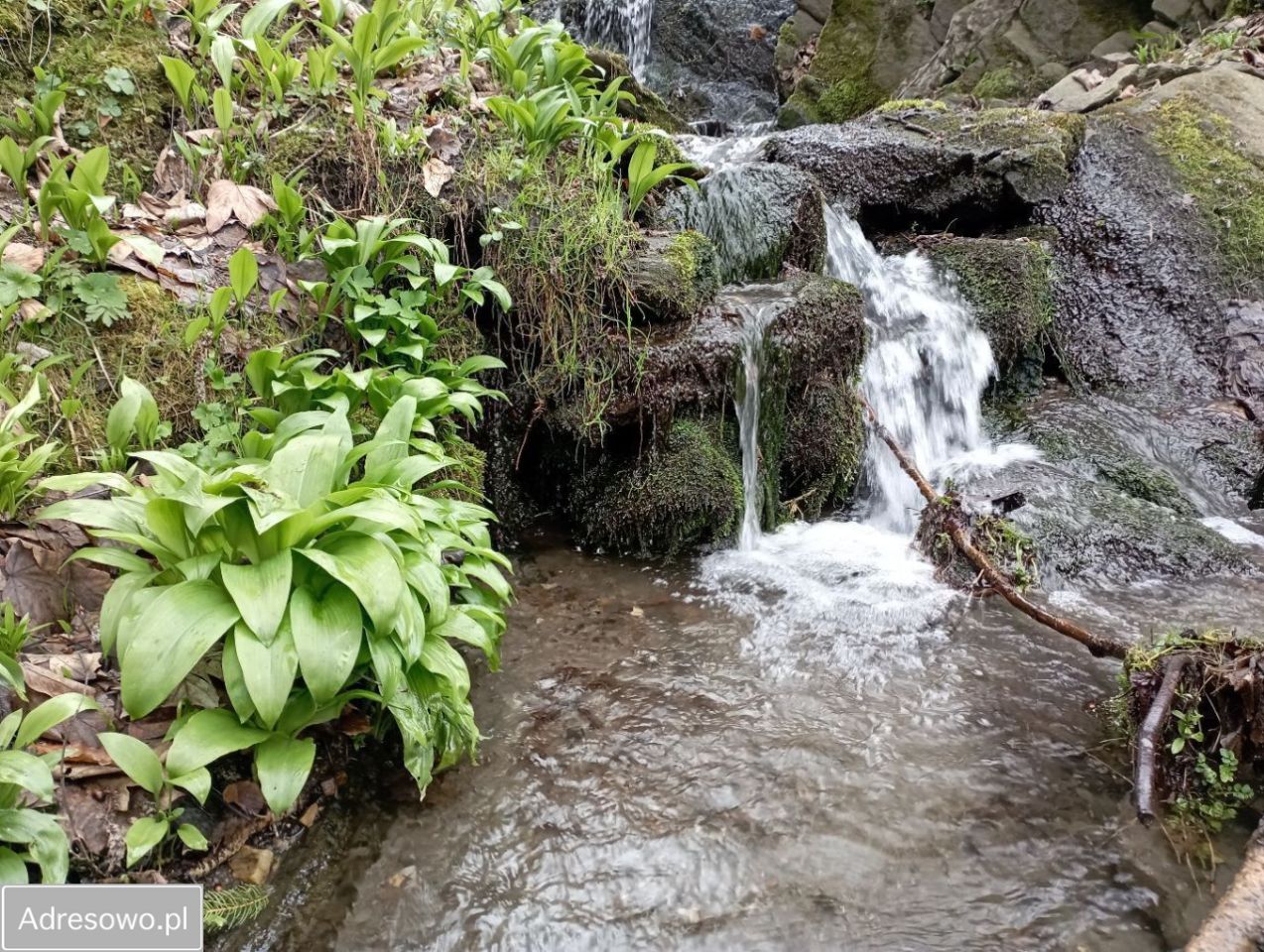 dom wolnostojący Konradów. Zdjęcie 7
