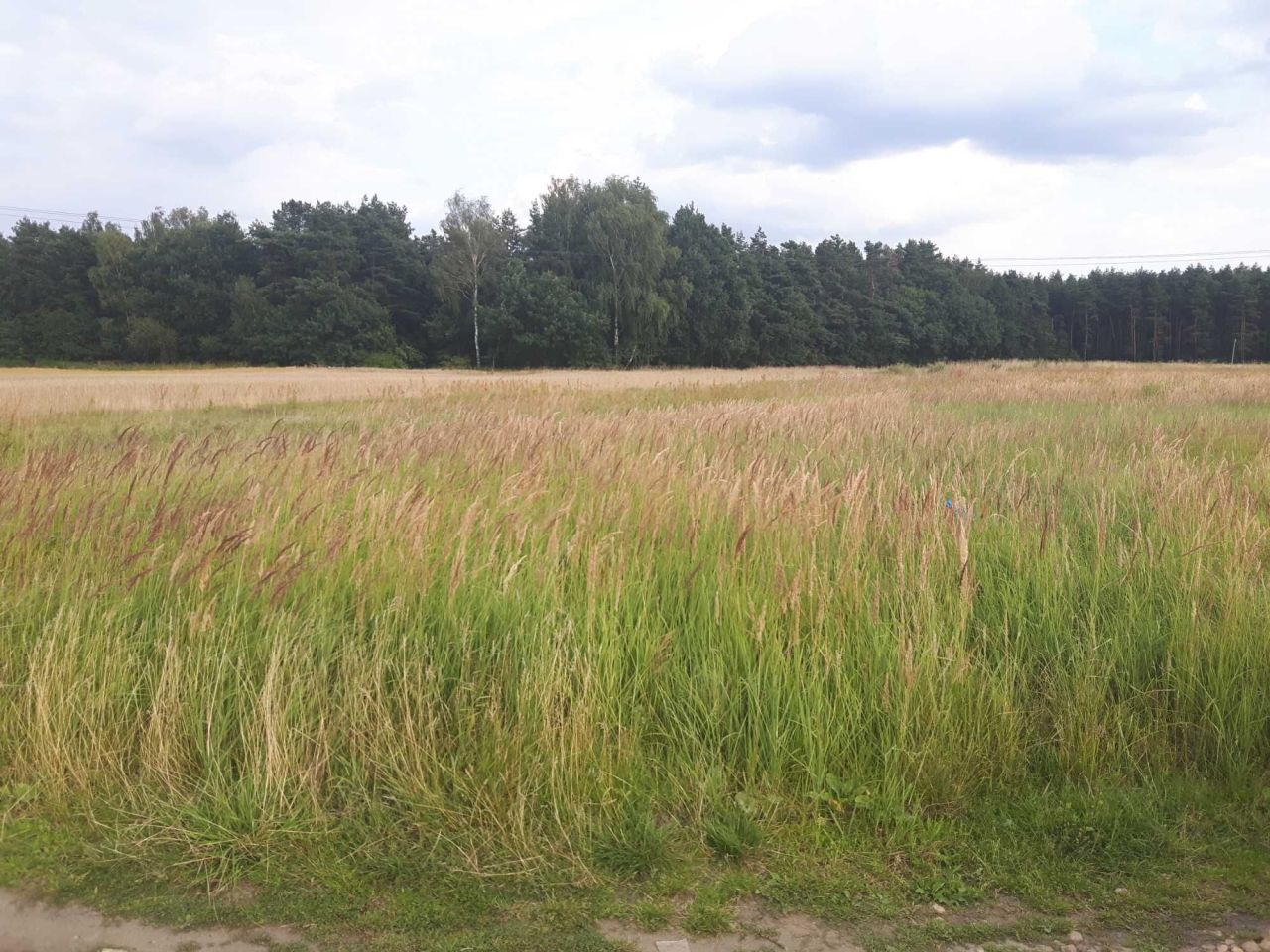 Działka budowlana Tychy Cielmice