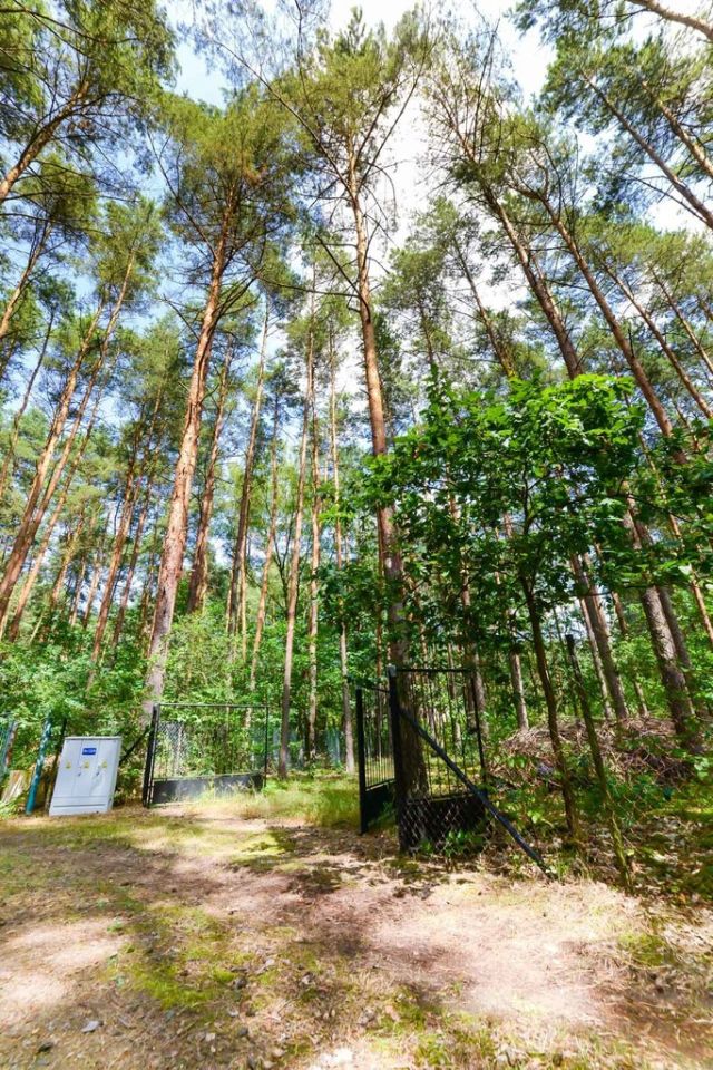 Działka rekreacyjna Poddębie. Zdjęcie 23