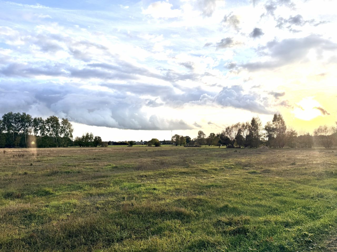Działka budowlana Napiórki Butne. Zdjęcie 12