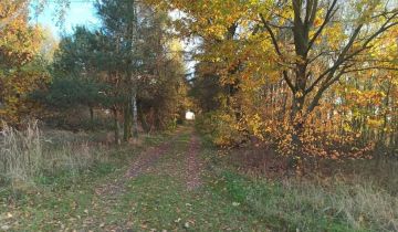 Działka Czemierniki, ul. Brzezińska