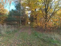 Działka Czemierniki, ul. Brzezińska