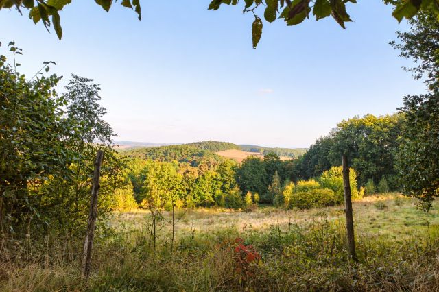 Działka budowlana Myślinów. Zdjęcie 1