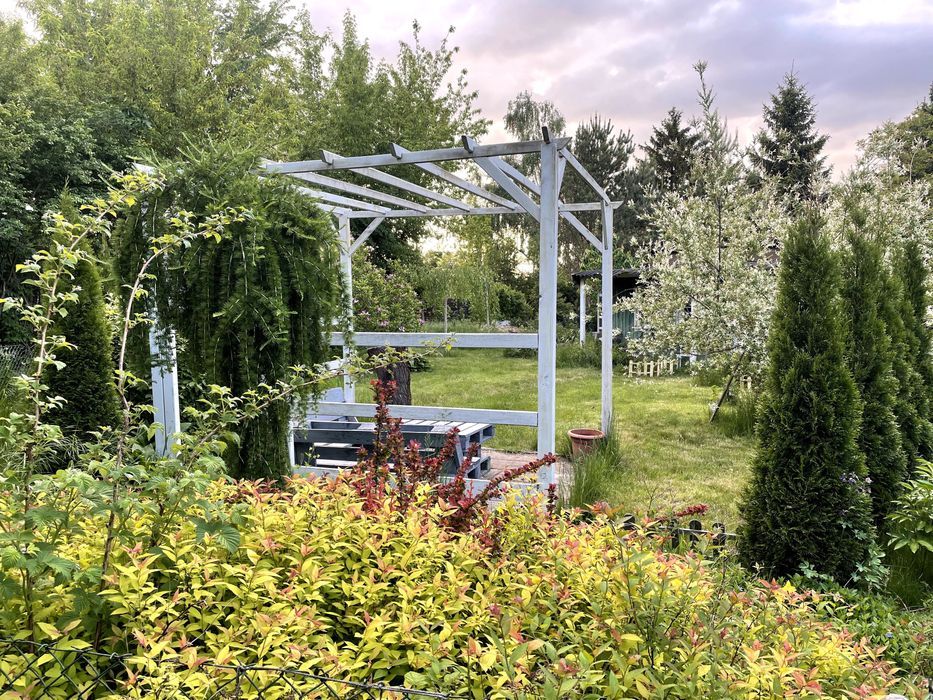 Działka rod Warszawa Mokotów. Zdjęcie 3