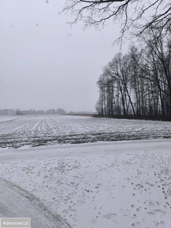 Działka budowlana Malanów. Zdjęcie 5