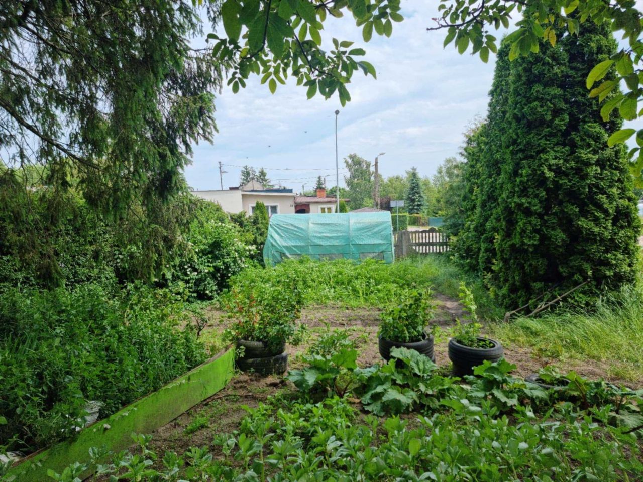 gospodarstwo Lubań. Zdjęcie 6