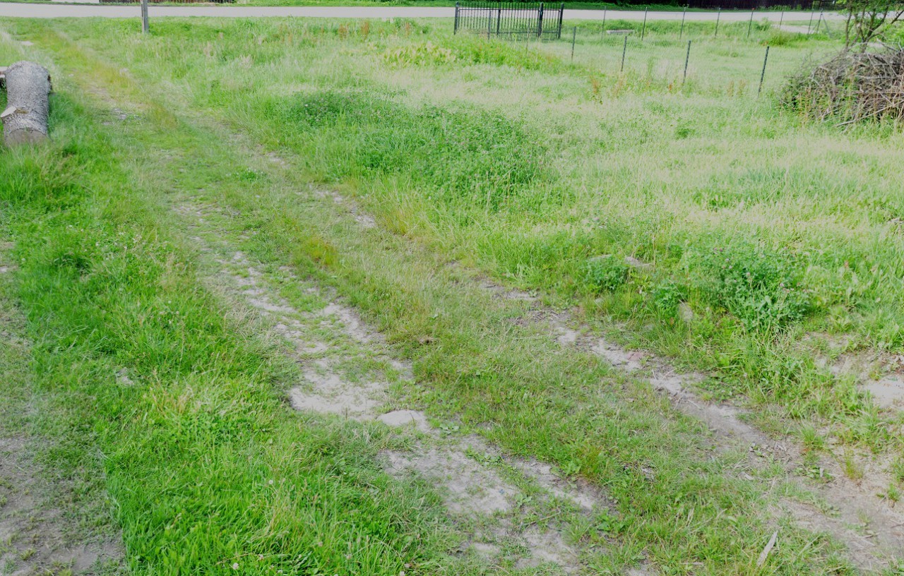 Działka siedliskowa Kiczki Drugie. Zdjęcie 3