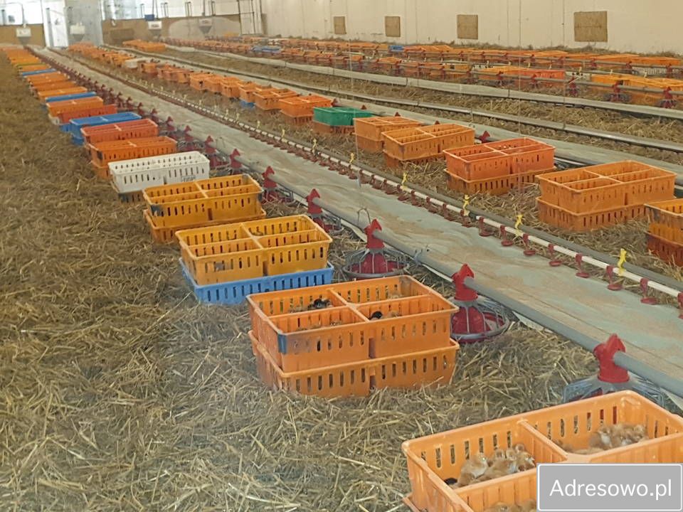 Hala/magazyn Złotówek. Zdjęcie 8