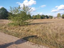 Działka budowlana Narew, ul. Gnilica. Zdjęcie 1