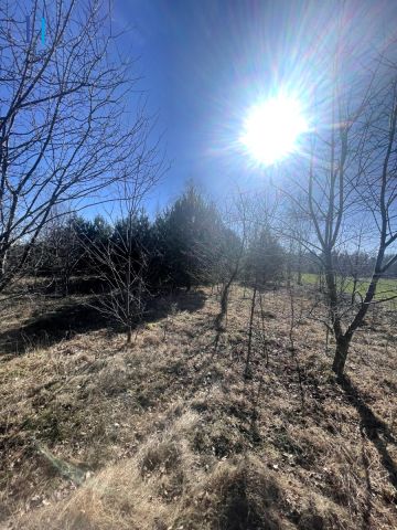 Działka budowlana Janów. Zdjęcie 9