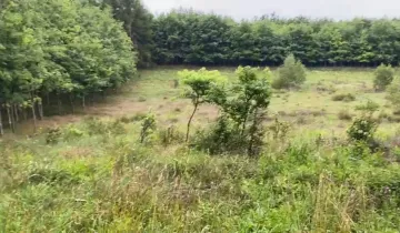 Działka na sprzedaż bez pośredników ul. Ostoja Sarbsk - More