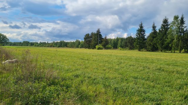 Działka rolno-budowlana Zagościniec Zenonów, ul. Tramwajowa. Zdjęcie 1