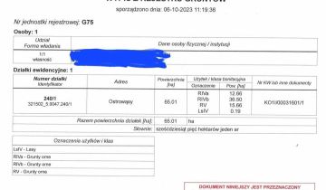 Działka rolno-budowlana Ostrowąsy