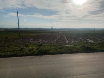 Działka budowlana Buk. Zdjęcie 2