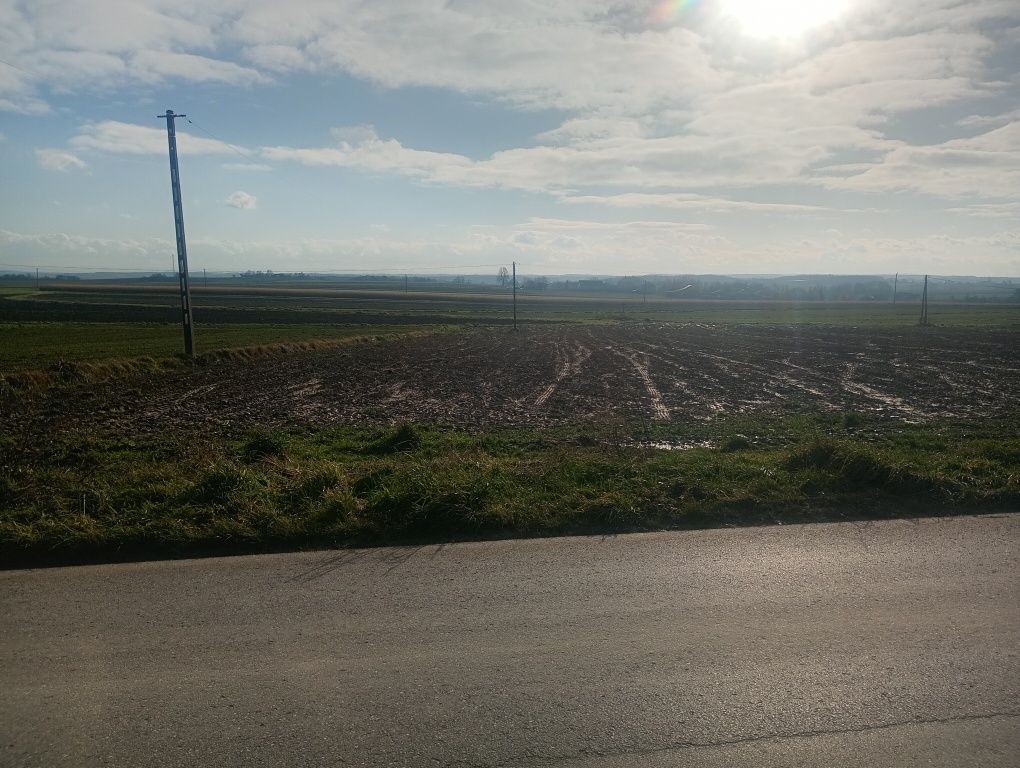 Działka budowlana Buk. Zdjęcie 3