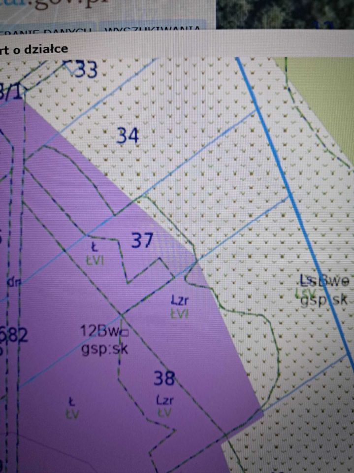 Działka Łosie. Zdjęcie 6