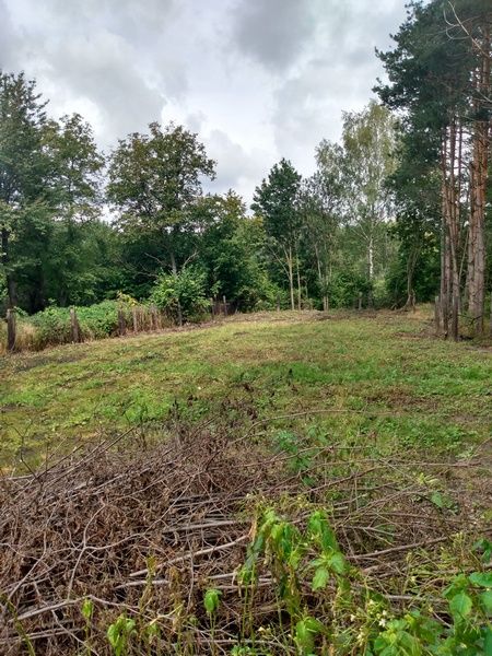 Działka budowlana Zabrze Pawłów, ul. gen. Władysława Sikorskiego. Zdjęcie 2