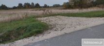 Działka rolna Gadka. Zdjęcie 2