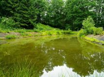 dom wolnostojący Kondratów. Zdjęcie 3