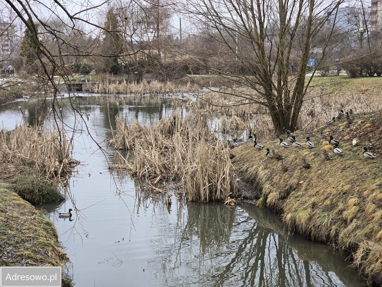 Mieszkanie 3-pokojowe Radom Gołębiów. Zdjęcie 17