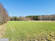 Działka rolna Zbuczyn. Zdjęcie 2