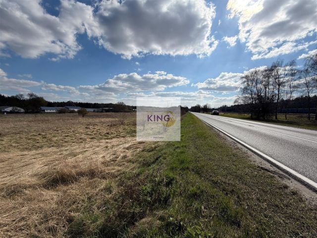 Działka inwestycyjna Pniewo. Zdjęcie 4