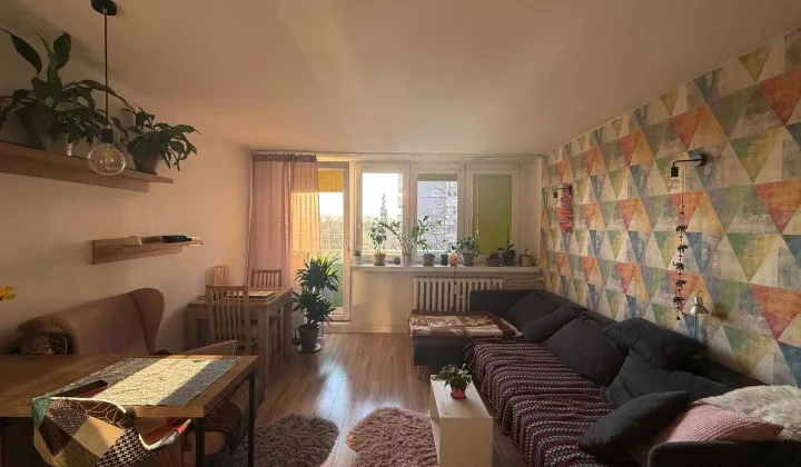 Mieszkanie 2-pokojowe Katowice os. Tysiąclecia