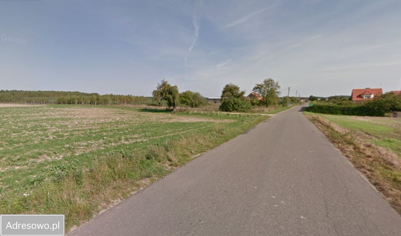 Działka rolno-budowlana Słonów. Zdjęcie 9