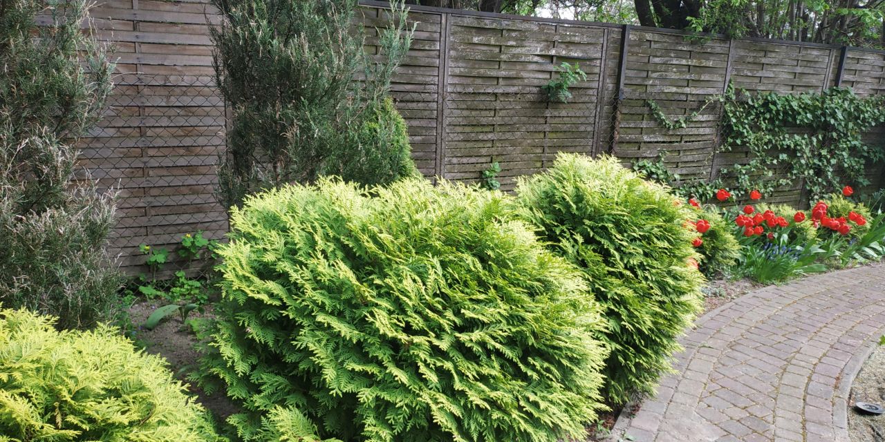 dom wolnostojący, 6 pokoi Łódź Górna, ul. Obywatelska. Zdjęcie 18