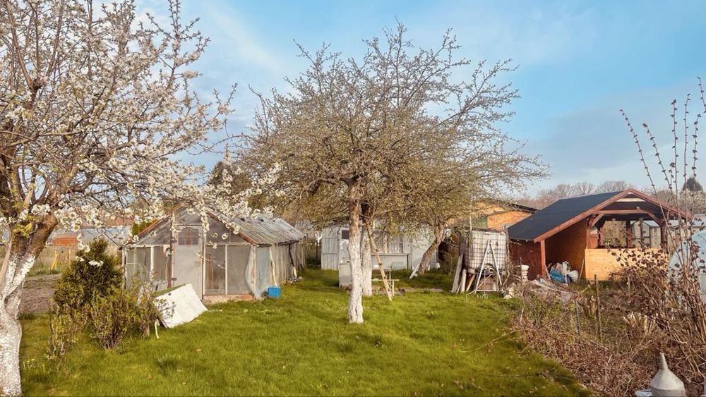 Działka rekreacyjna Orneta, ul. Ogrodowa