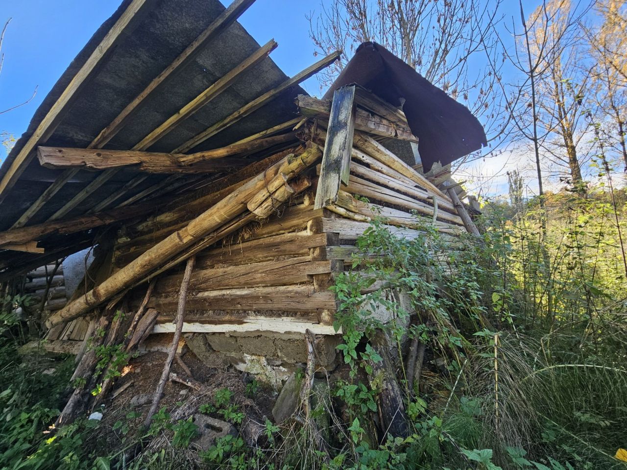 Działka rolno-budowlana Brzezna Jedlane. Zdjęcie 5