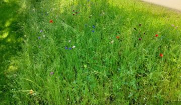 Działka budowlana Pyskowice Dzierżno, ul. Wiejska