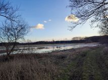 Działka budowlana Radzewice, ul. Konwaliowa. Zdjęcie 3