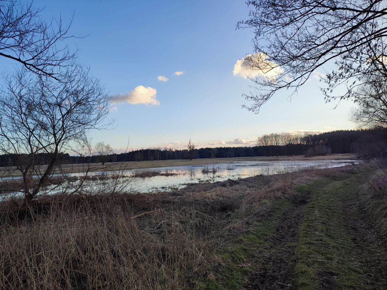 Działka budowlana Radzewice, ul. Konwaliowa. Zdjęcie 4