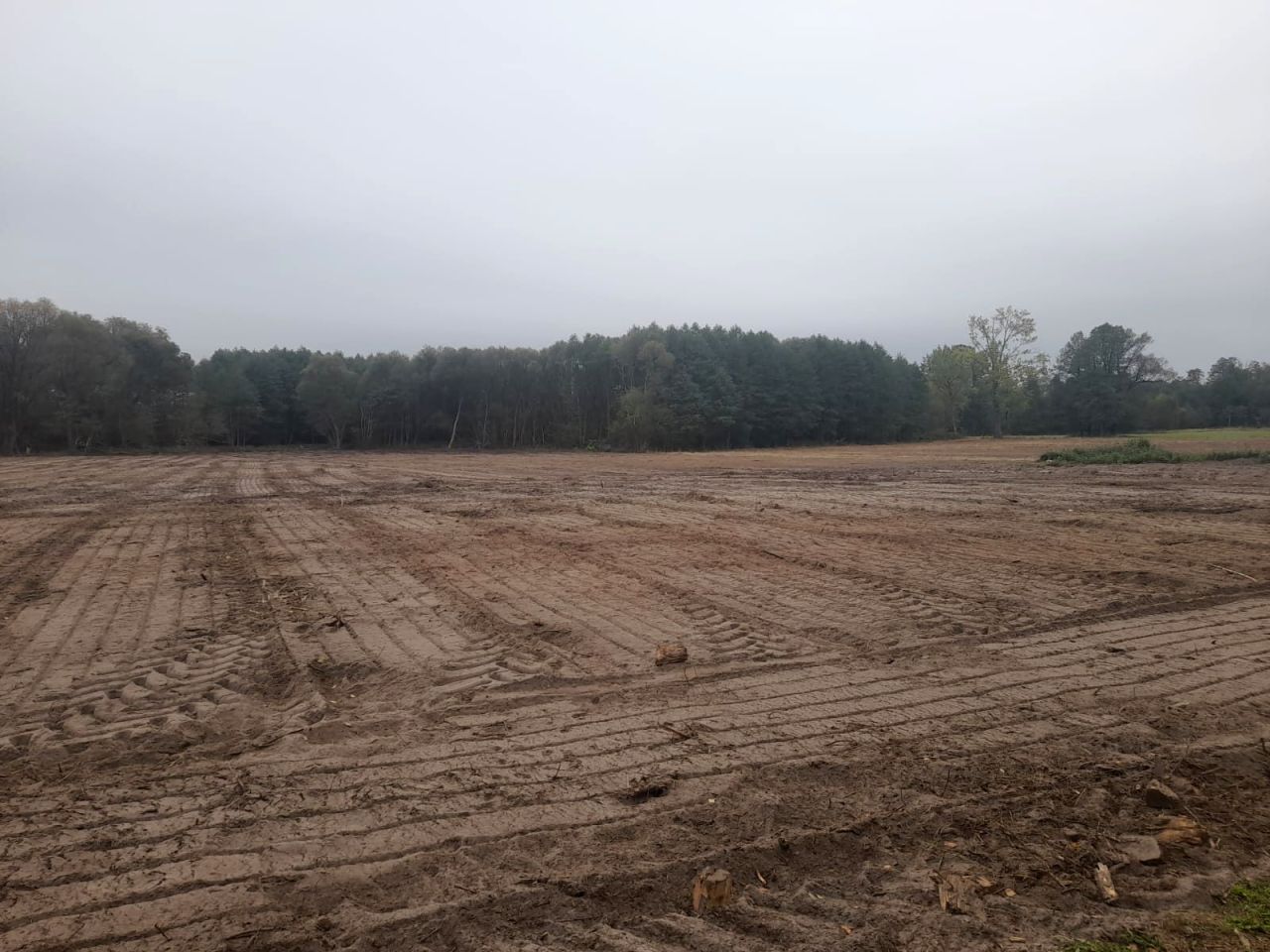 Działka budowlana Anielew. Zdjęcie 7