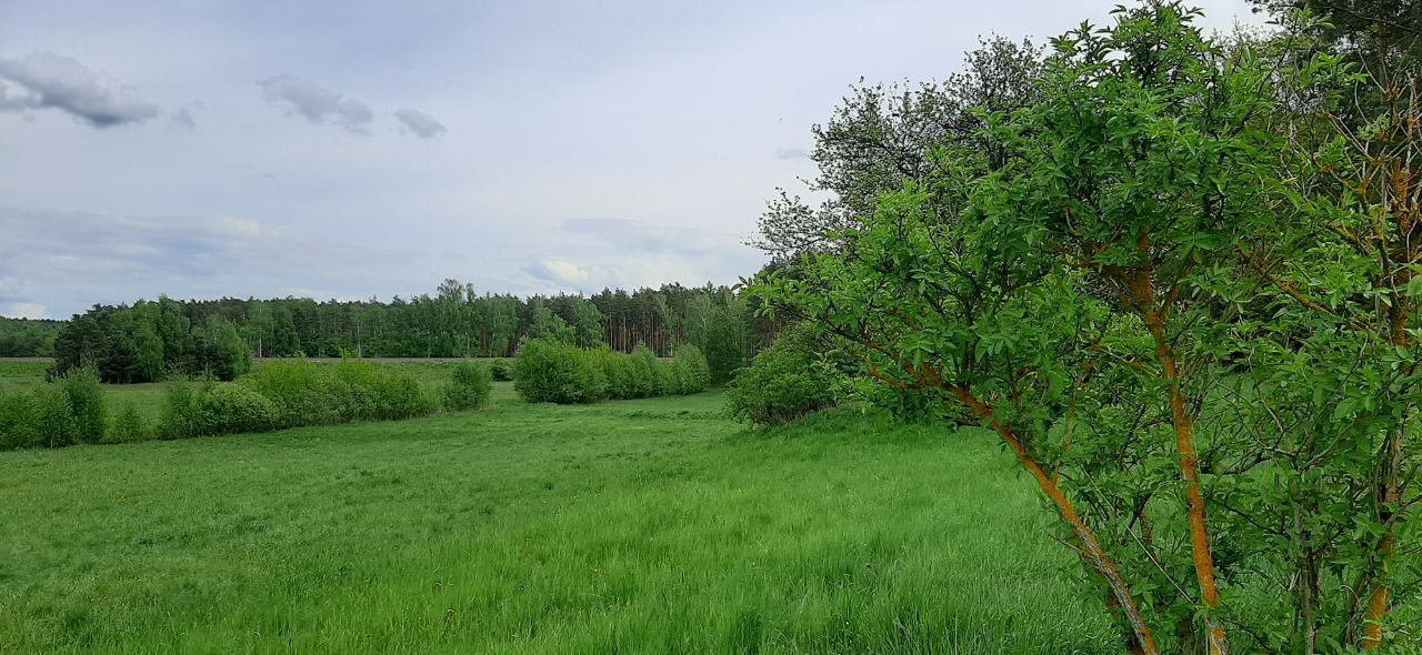 Działka budowlana Jałowiec, ul. Łąki. Zdjęcie 8