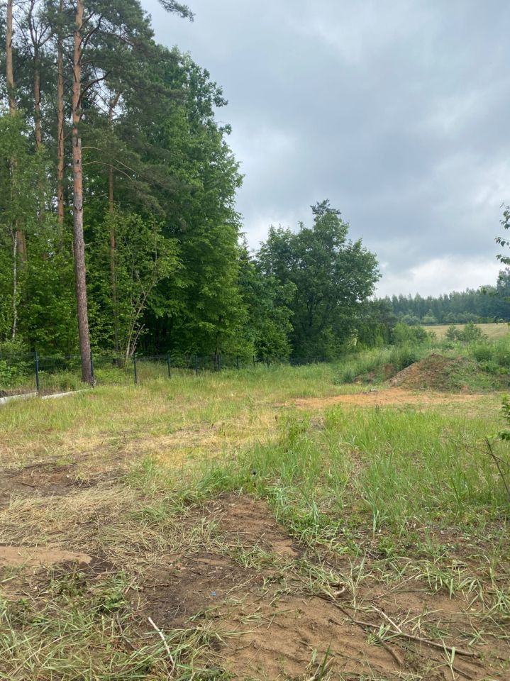 Działka rolna Grabówka. Zdjęcie 3