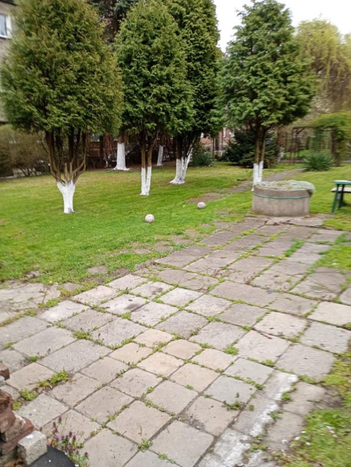 Działka rod Bytom Karb, ul. Racławicka. Zdjęcie 2