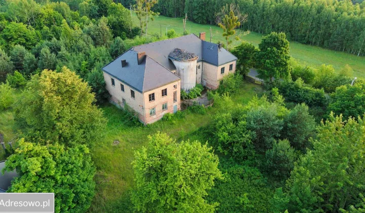 Nieruchomość komercyjna Długi Kąt