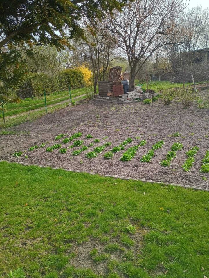 Działka rod Chełm, ul. Żabia. Zdjęcie 6