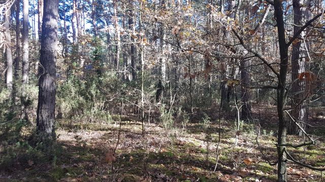 Działka budowlana Radzymin Rejentówka, ul. Zygmunta Wróblewskiego. Zdjęcie 5