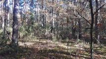 Działka budowlana Radzymin Rejentówka, ul. Zygmunta Wróblewskiego. Zdjęcie 4