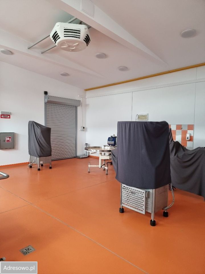 Hala/magazyn Głogów, ul. Adama Mickiewicza. Zdjęcie 16