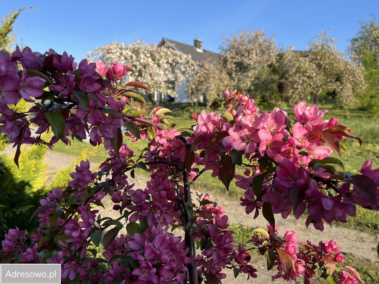 dom wolnostojący, 5 pokoi Czersk, al. 1000-lecia. Zdjęcie 7