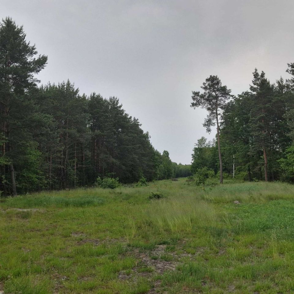 Działka budowlana Zieleniec. Zdjęcie 5