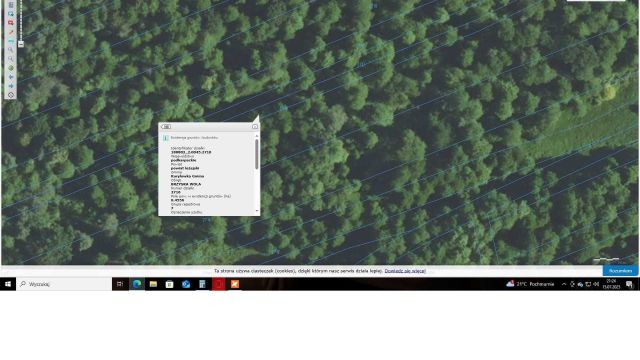 Działka leśna Brzyska Wola. Zdjęcie 1