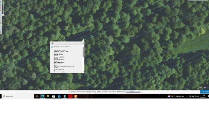 Działka leśna Brzyska Wola