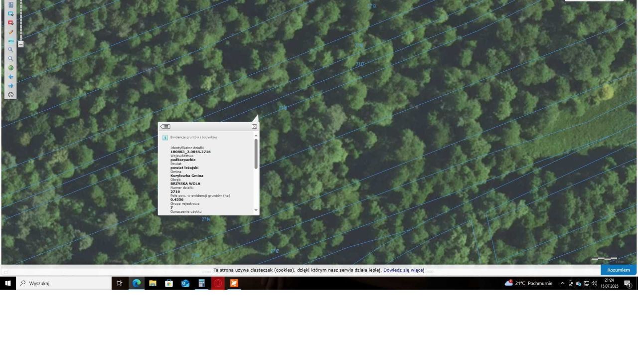 Działka leśna Brzyska Wola